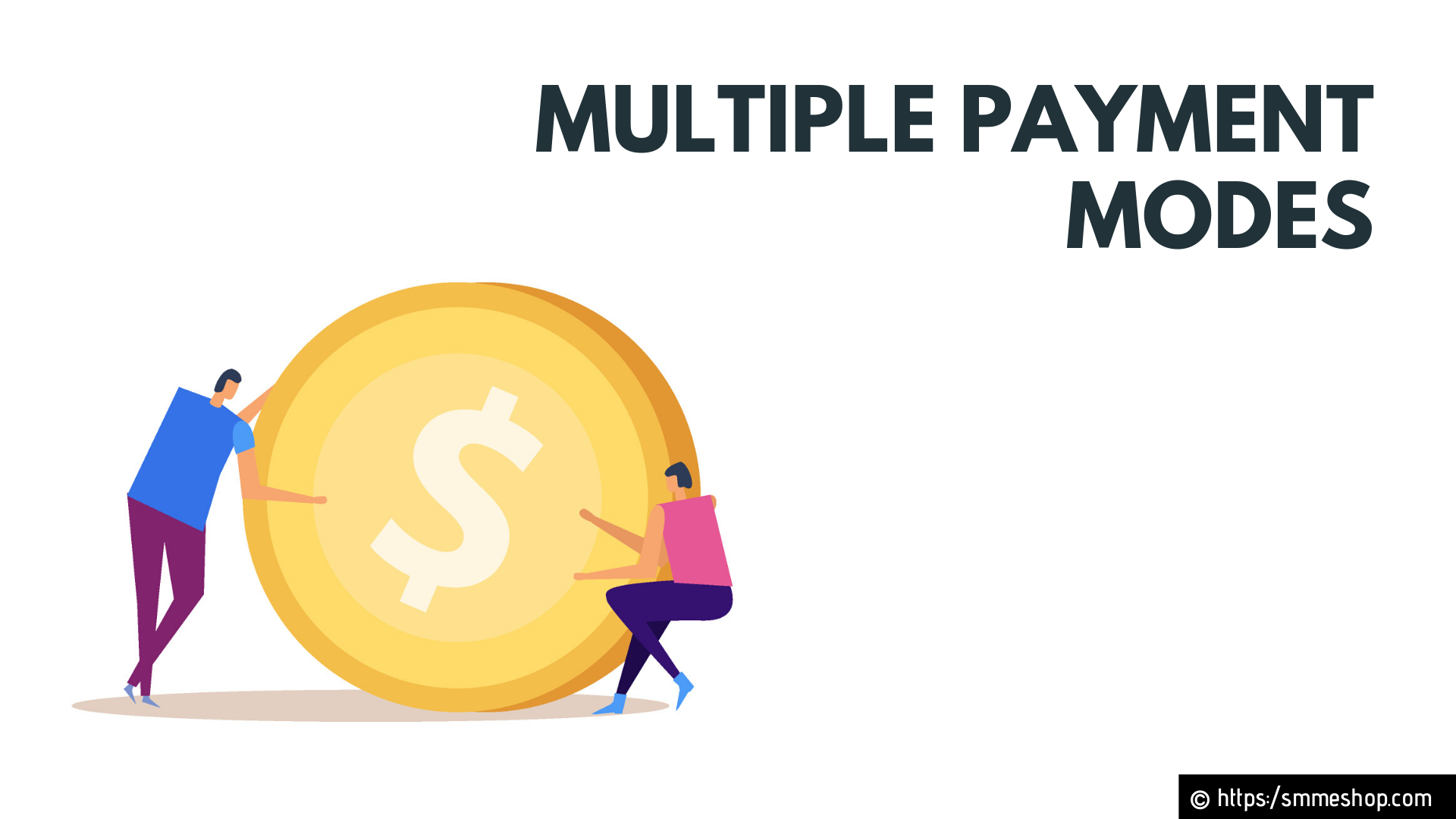 Multiple payment modes